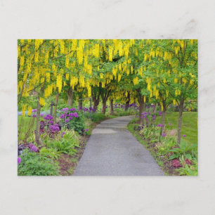 Schöner Frühlingstrasse Postkarte