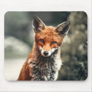 Schöner Fuchs im Grünen Mousepad