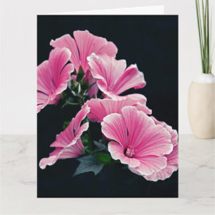 Schöner Garten Rosa Rose Blume Karte