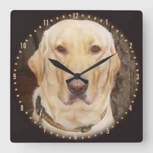 Schöner Gelbe Labrador-Rundklemme Quadratische Wanduhr