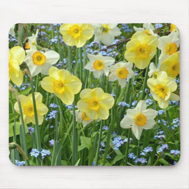Schöner gelber Narzissengarten Mousepad (Vorne)
