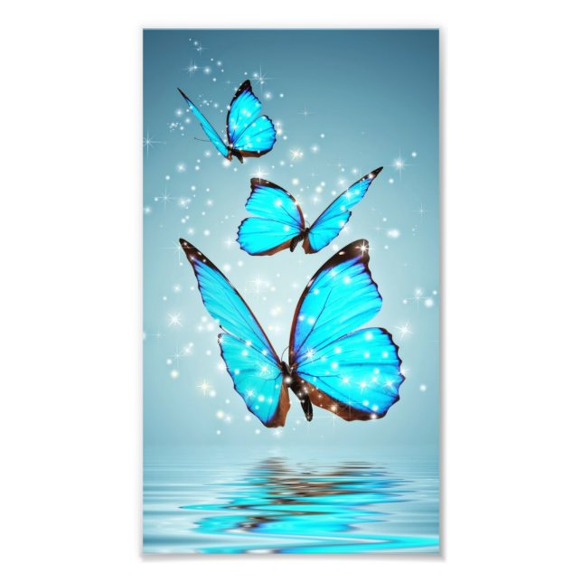 schöner, glänzender Schmetterling Fotodruck (Vorne)