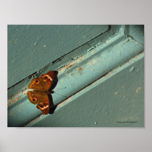 Schöner Goldener Schmetterling Poster