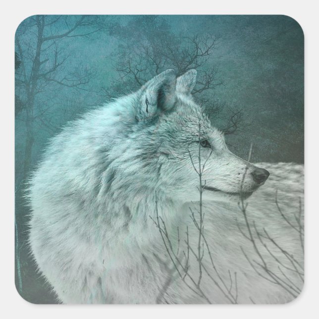 Schöner grauer Wolf in einem dunklen Wald Quadratischer Aufkleber (Vorderseite)
