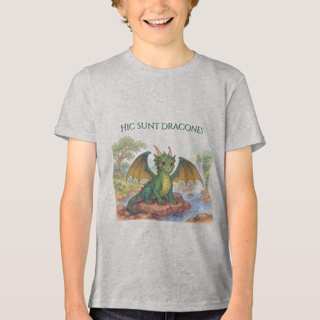 Schöner grüner Drache Tri-Blend Shirt (Vorderseite)