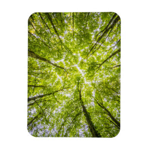 Schöner Grünwald Magnet