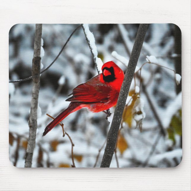 Schöner, hellroter Kardinal im Schnee Mousepad (Vorne)