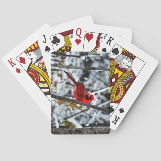 Schöner, hellroter Kardinal im Schnee Spielkarten (Rückseite)