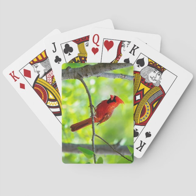 Schöner, hellroter Kardinal in einem Baum Spielkarten (Rückseite)