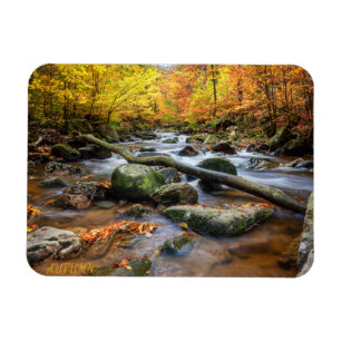 Schöner Herbstwald Magnet