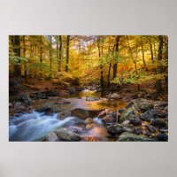 Schöner Herbstwald