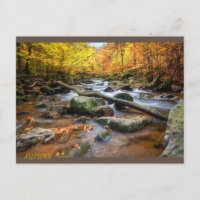 Schöner Herbstwald