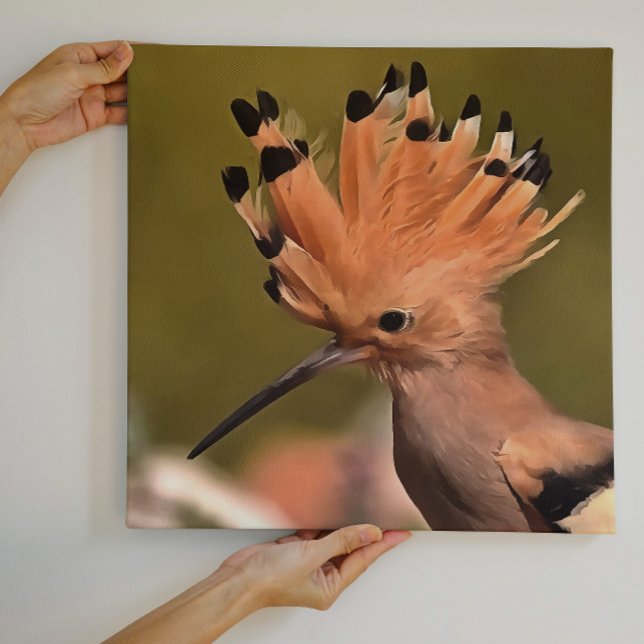 Schöner Hoopoe Bird mit Krone von Federn Leinwanddruck (Von Creator hochgeladen)