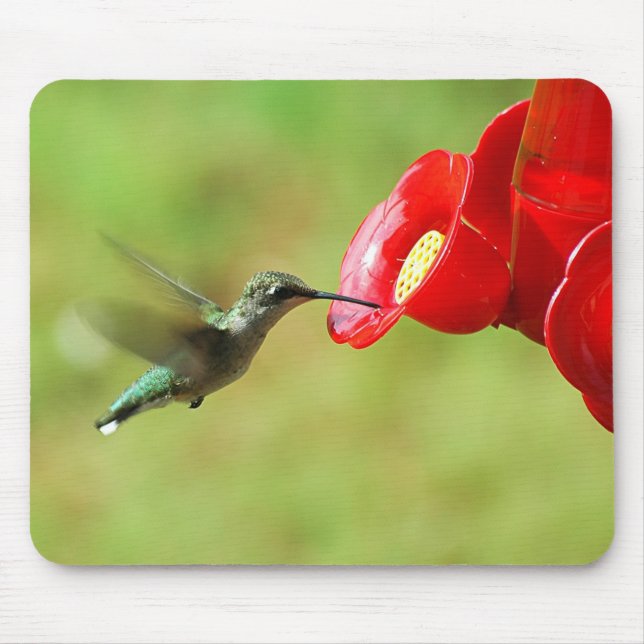 Schöner Hummingbird Fütternd Mousepad (Vorne)