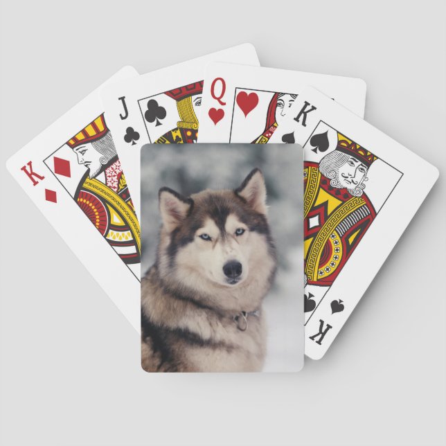 Schöner Husky im Freien Spielkarten (Rückseite)
