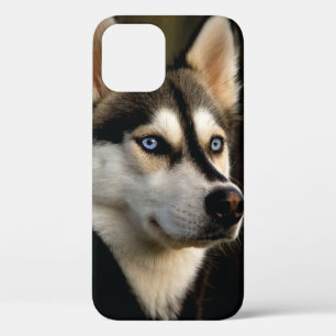 Schöner Husky-Wurfkissen Case-Mate iPhone Hülle