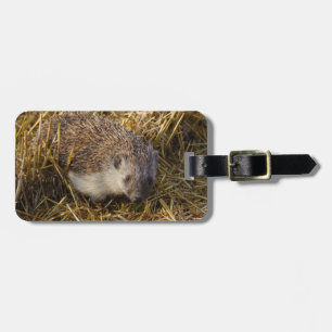 Schöner Igel auf einem Stubelfeld Gepäckanhänger