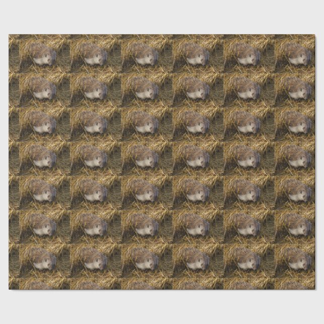 Schöner Igel auf einem Stubelfeld Geschenkpapier (Saum)