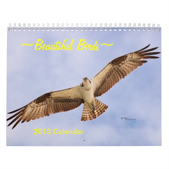 Schöner Kalender der Vogel-2016 (Titelbild)