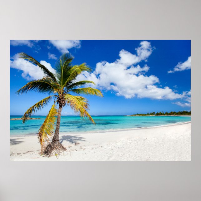 Schöner karibischer Strand Poster (Vorne)