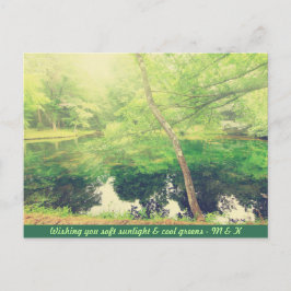 Schöner kleiner Teich Grün Blätter Sonnenlicht Postkarte