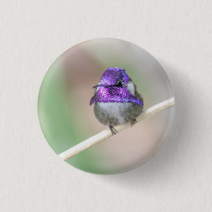 Schöner Kolibri Button
