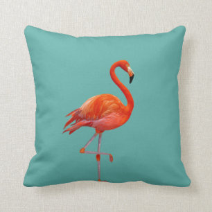 Schöner korallenrosa Flamingo auf Türkis Kissen