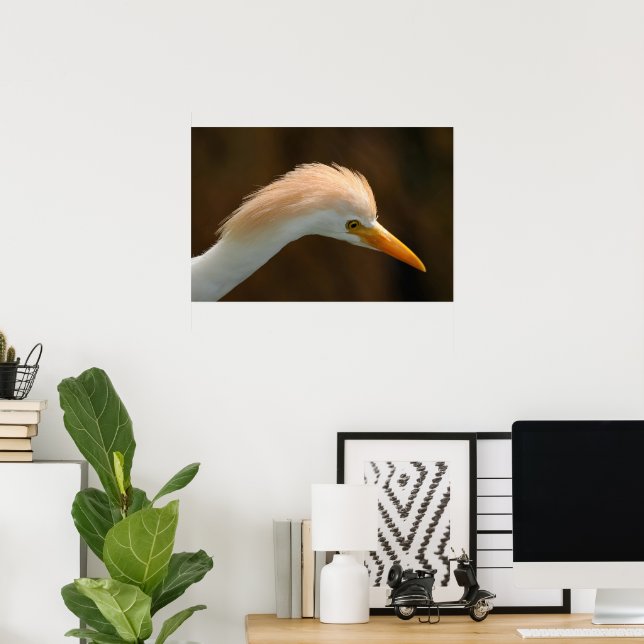 Schöner Kuhreiher-Vogel Poster (Heimbüro)