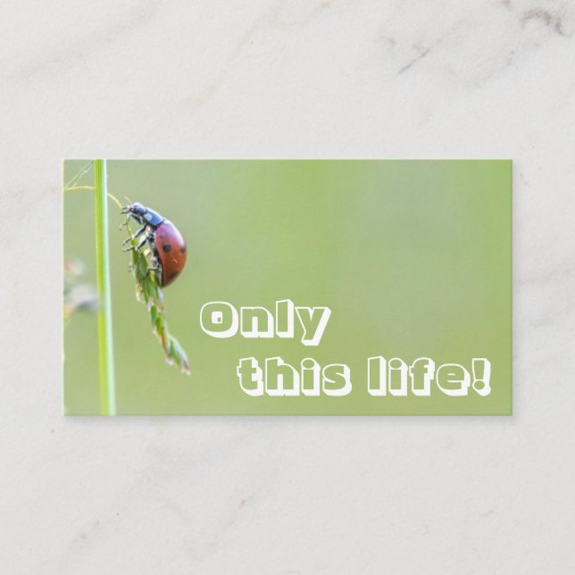 Schöner Ladybug mit motivierend Zitat Visitenkarte (Vorderseite)