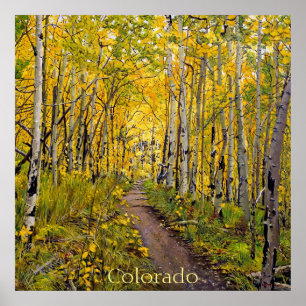 Schöner Landschaftlicher Herbstweg in Aspen Tree G Poster