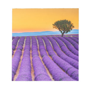 Schöner Lavendel in der Provence Notepad Notizblock