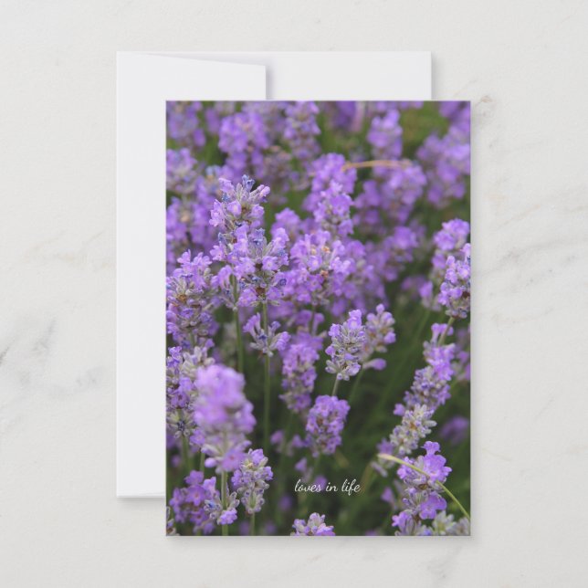 Schöner Light Lavender Mitteilungskarte (Vorderseite)