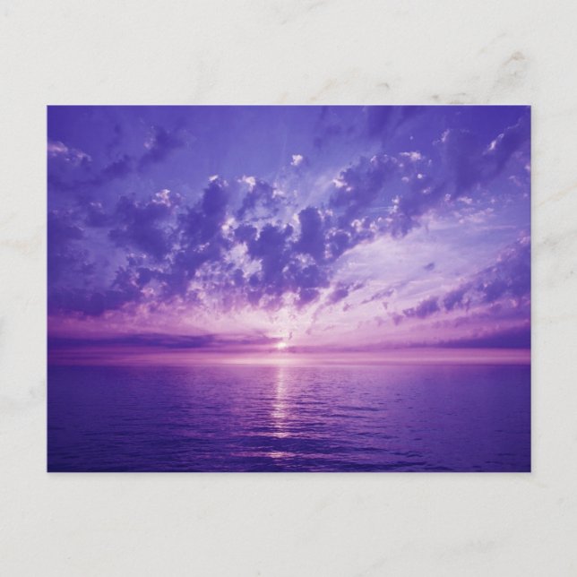 Schöner lila Sonnenuntergang Postkarte (Vorderseite)