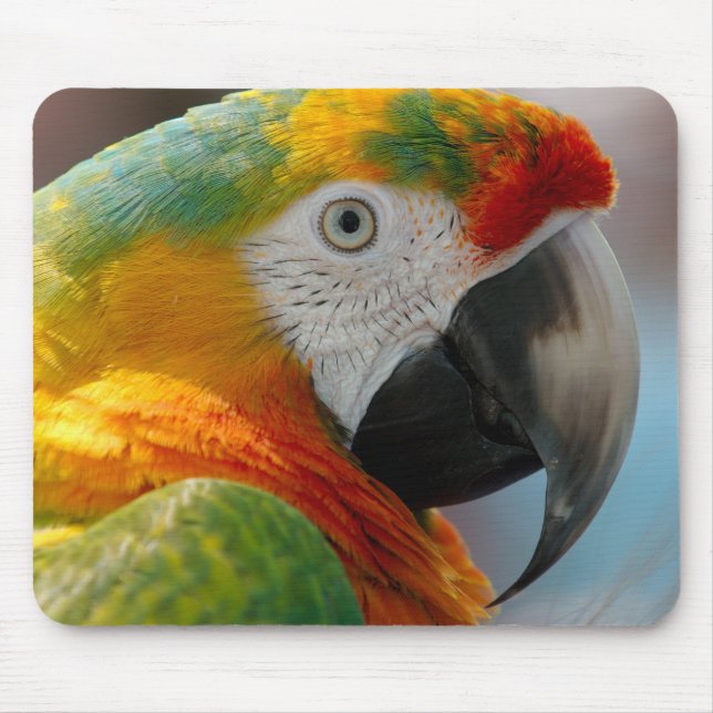 Schöner Macaw Mousepad (Vorne)