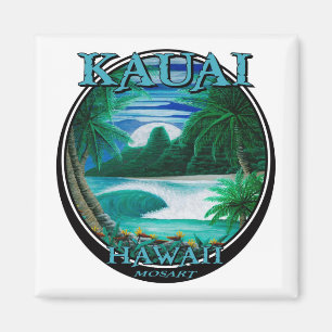 Schöner Magnet Kauais Hawaii