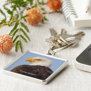 Schöner Majestic Bald Eagle in Tree Schlüsselanhänger