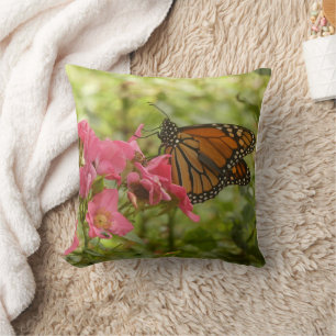 Schöner Monarch-Schmetterling Kissen