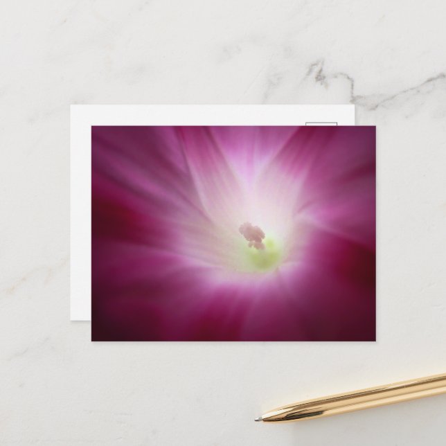Schöner Morgenglanz Brillante Rosa Blume Kunst, Ku Postkarte (Vorderseite/Rückseite Beispiel)