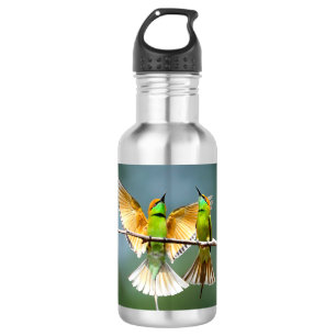 Schöner Motmot-Vogel am Zweig Edelstahlflasche