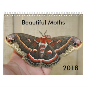 Schöner Mottenkalender 2018 Kalender