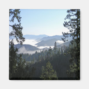 Schöner, neblig Frühling Morgen...... Magnet