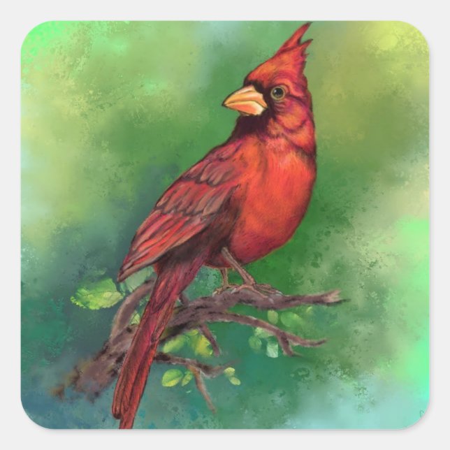 Schöner Nordroter Kardinal Vogelmalerei Kunst Quadratischer Aufkleber (Vorderseite)