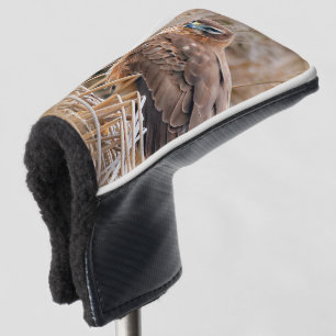 Schöner Northern Harrier Hawk in den Marschen Golf Headcover