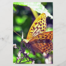 Schöner orange-schwarzer gefleckter Schmetterling