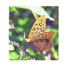 Schöner orange-schwarzer gefleckter Schmetterling