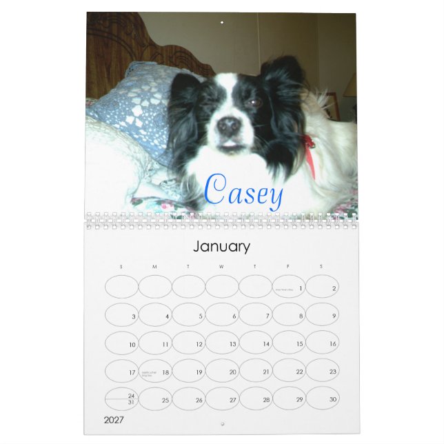 Schöner Papillons, 2007 Kalender (Jan 2027)