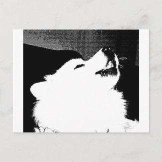 Schöner PelzSamoyedweißhund Postkarte
