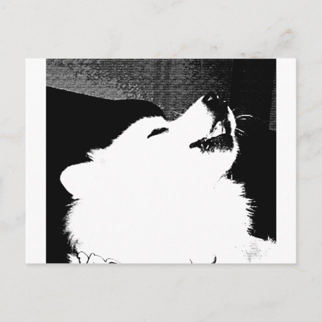 Schöner PelzSamoyedweißhund Postkarte (Vorderseite)