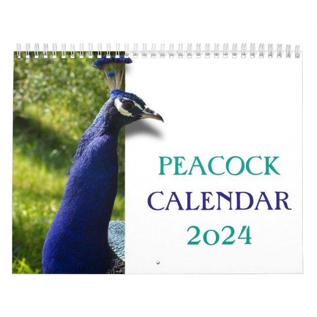 Schöner Pfau 2024 Kalender (Titelbild)