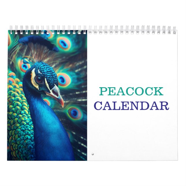 Schöner Pfau 2025 Kalender (Titelbild)